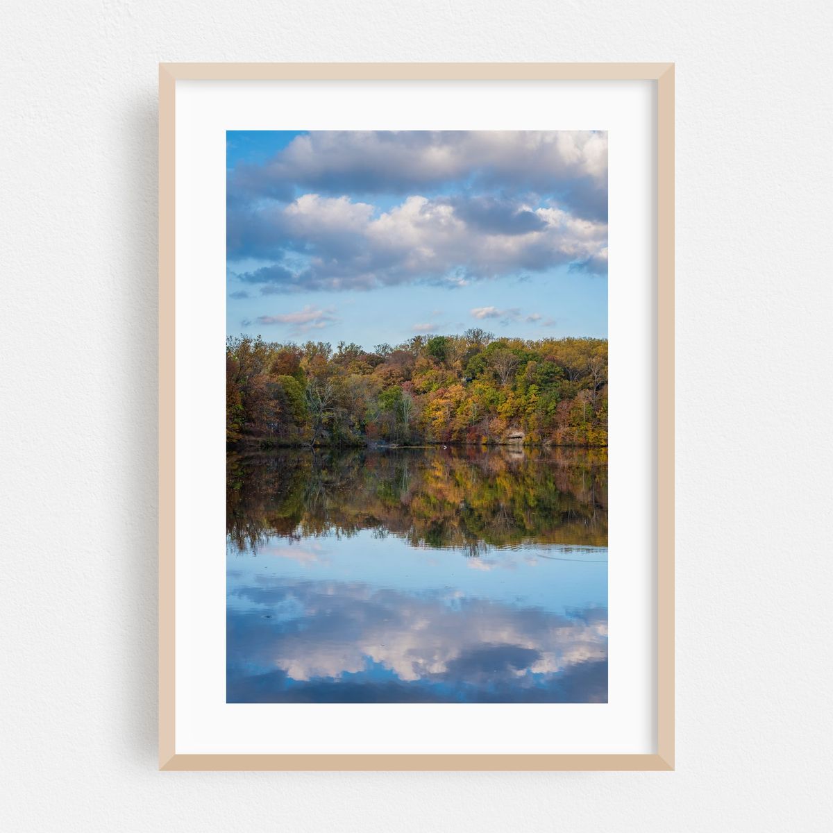 Reflections at Lake Roland – image 1 of 16