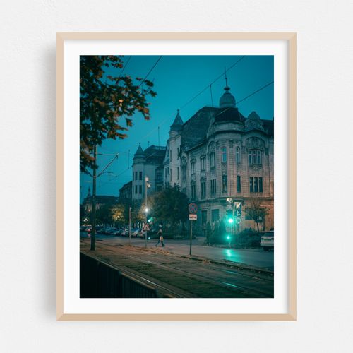 Bulevardul Regele Carol I, Timișoara