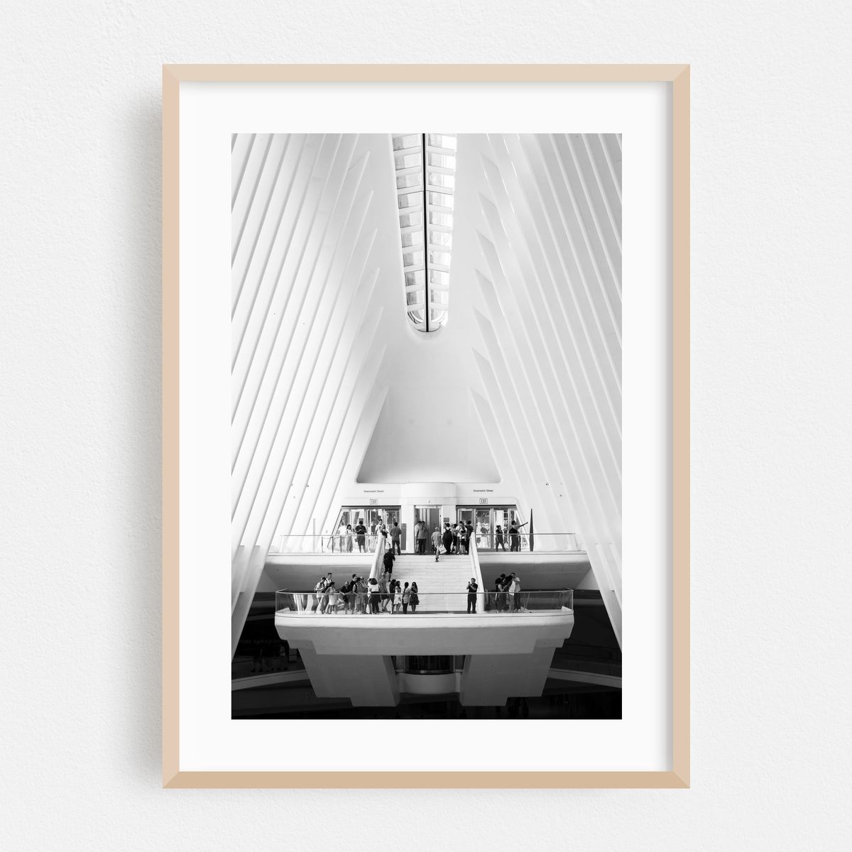 Oculus 07 – image 1 of 16