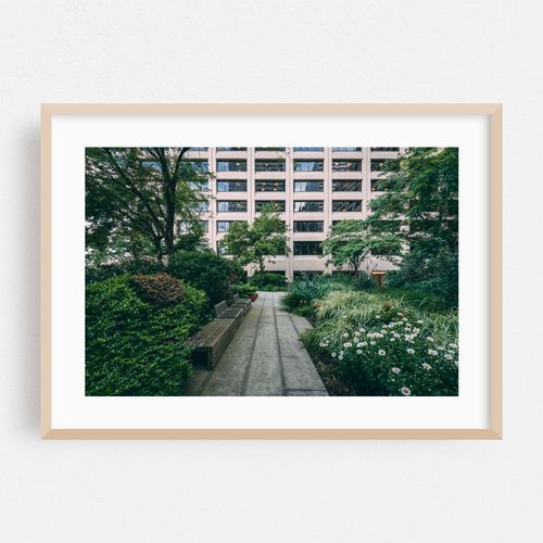 Elevated Acre 02