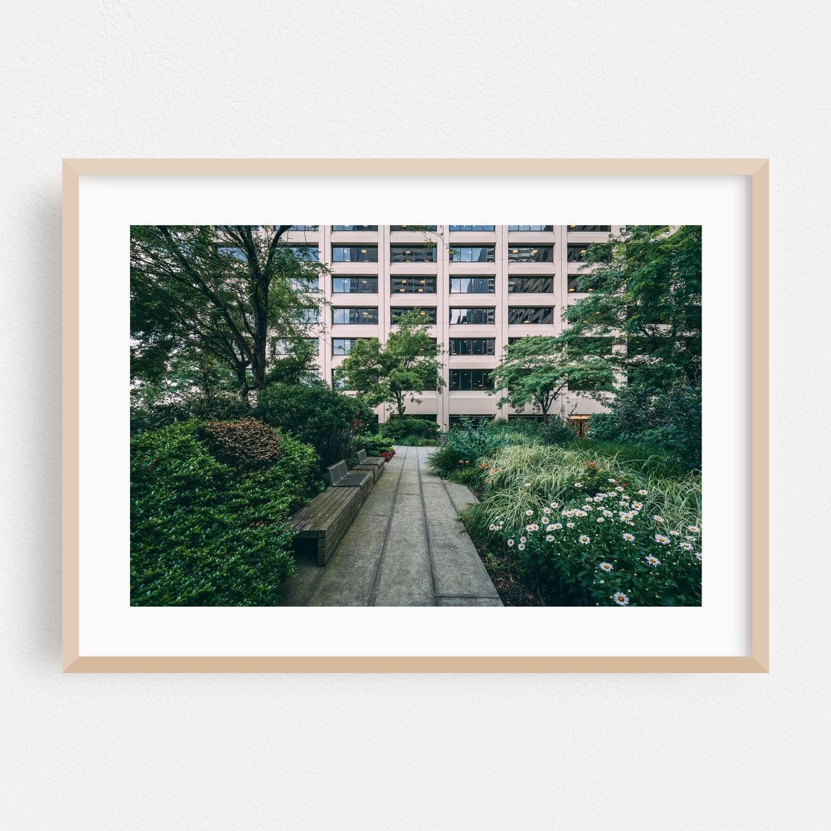 Elevated Acre 02 – image 1 of 6