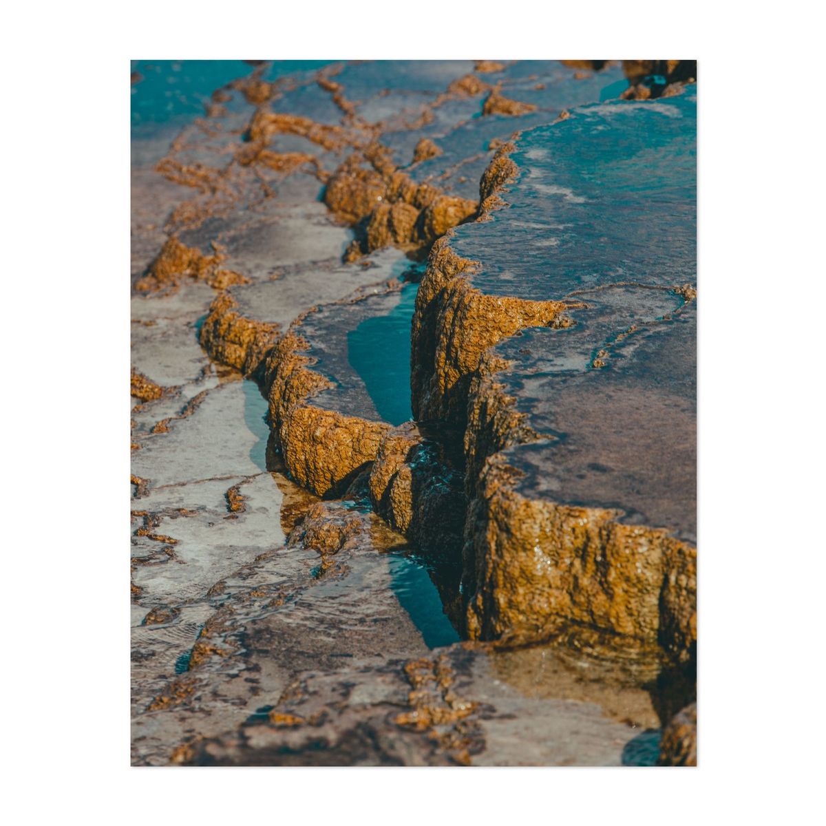 Mammoth Hot Springs – image 1 of 2