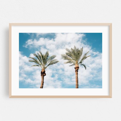 Palms in Palm Springs 02