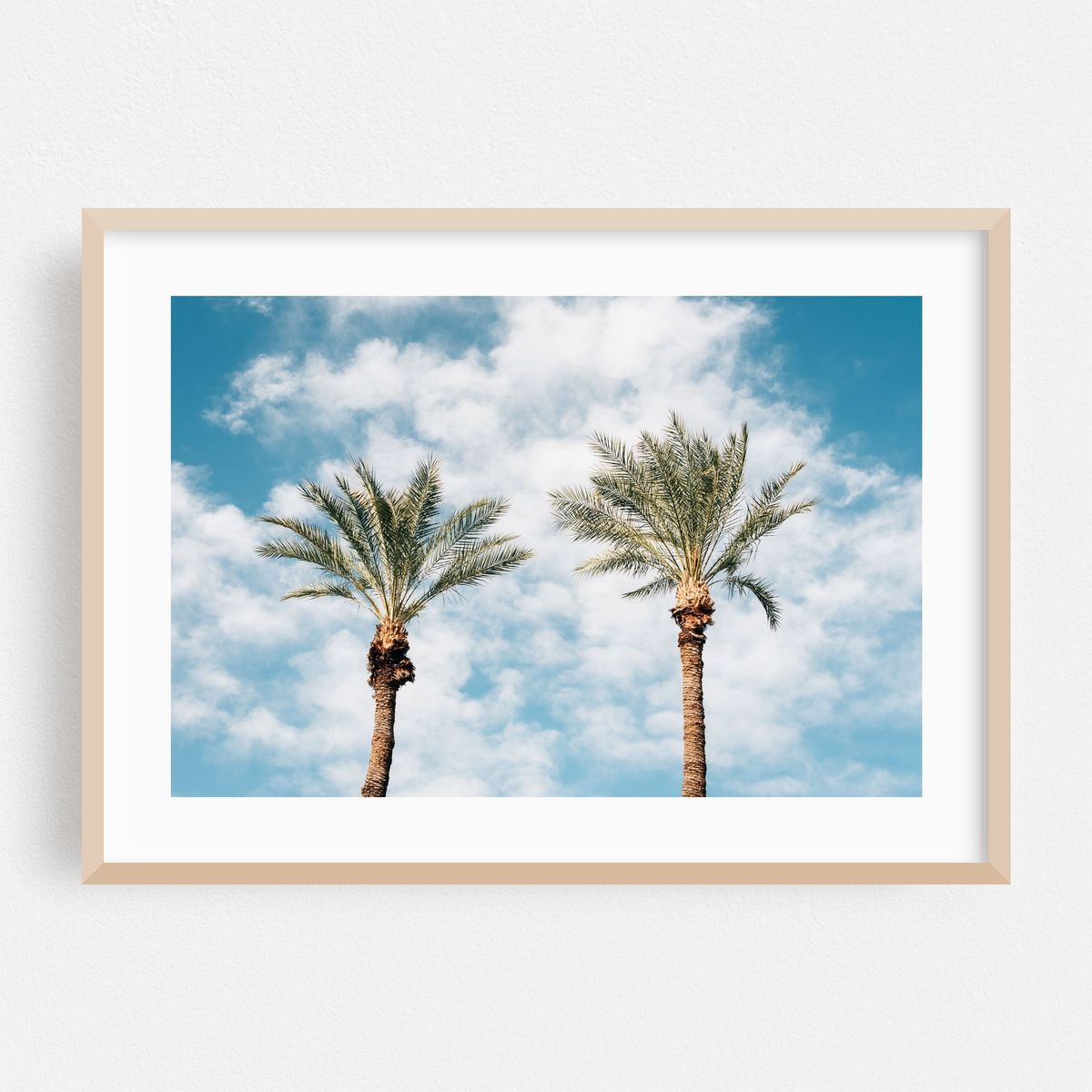 Palms in Palm Springs 02 – image 1 of 6