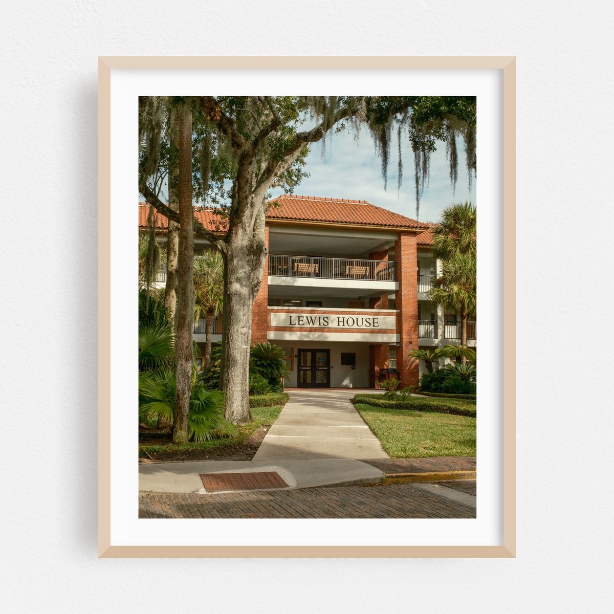 Lewis House at Flagler College, St. Augustine – image 1 of 12
