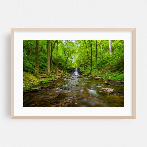 Sheldon Reynolds Falls