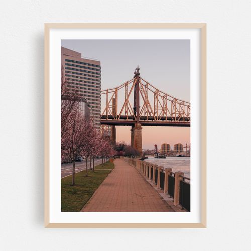 Queensboro Bridge 06