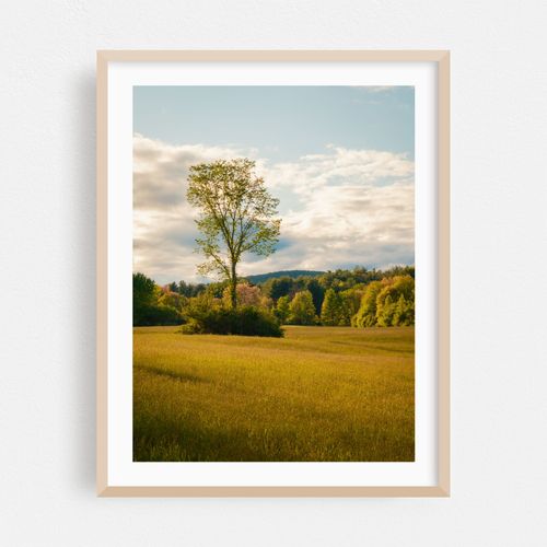 Easthampton Rural 04
