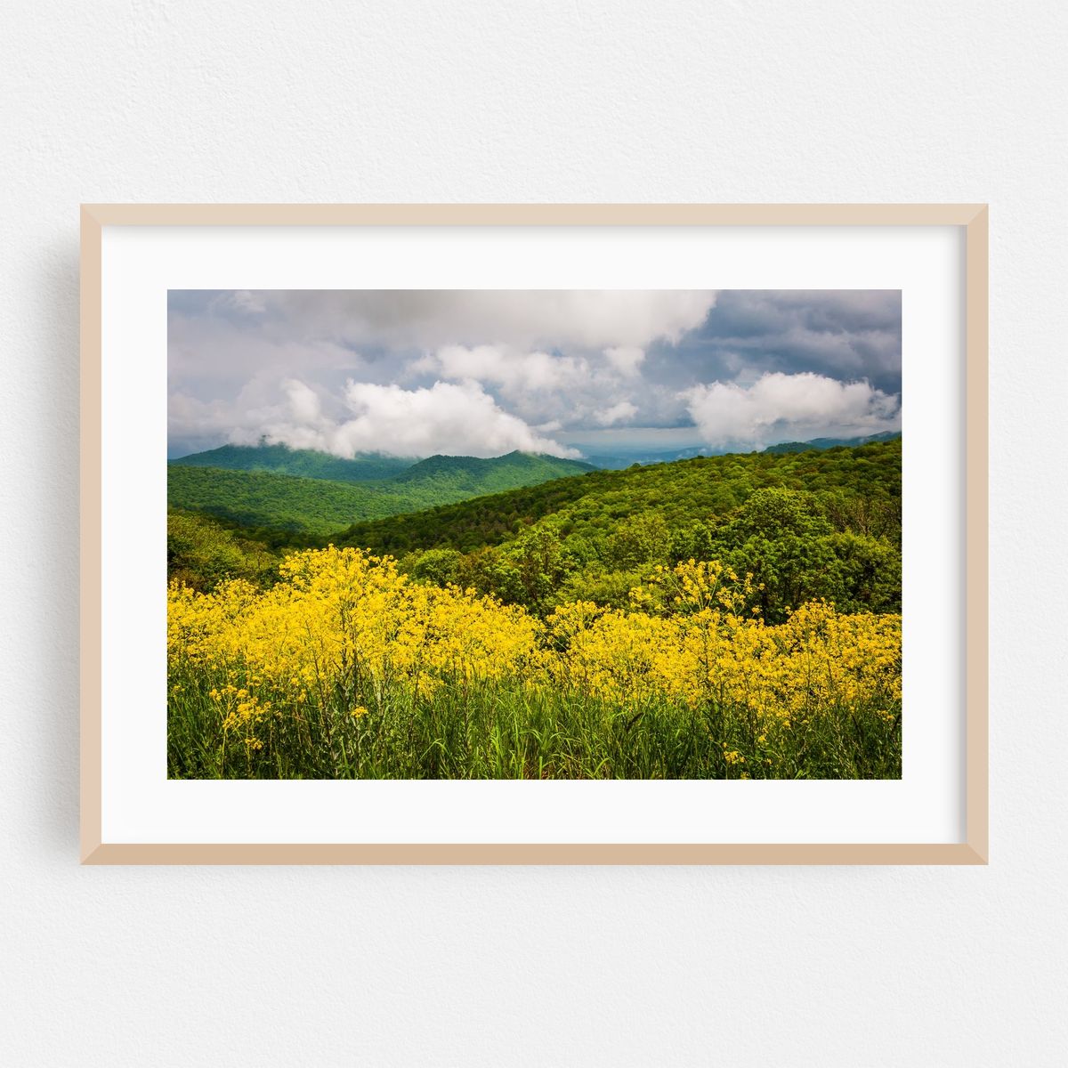 Spring Storms – image 1 of 6