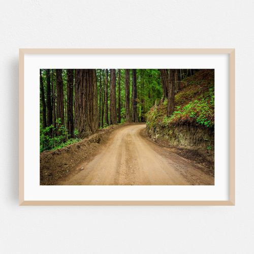 Coast Road, Big Sur