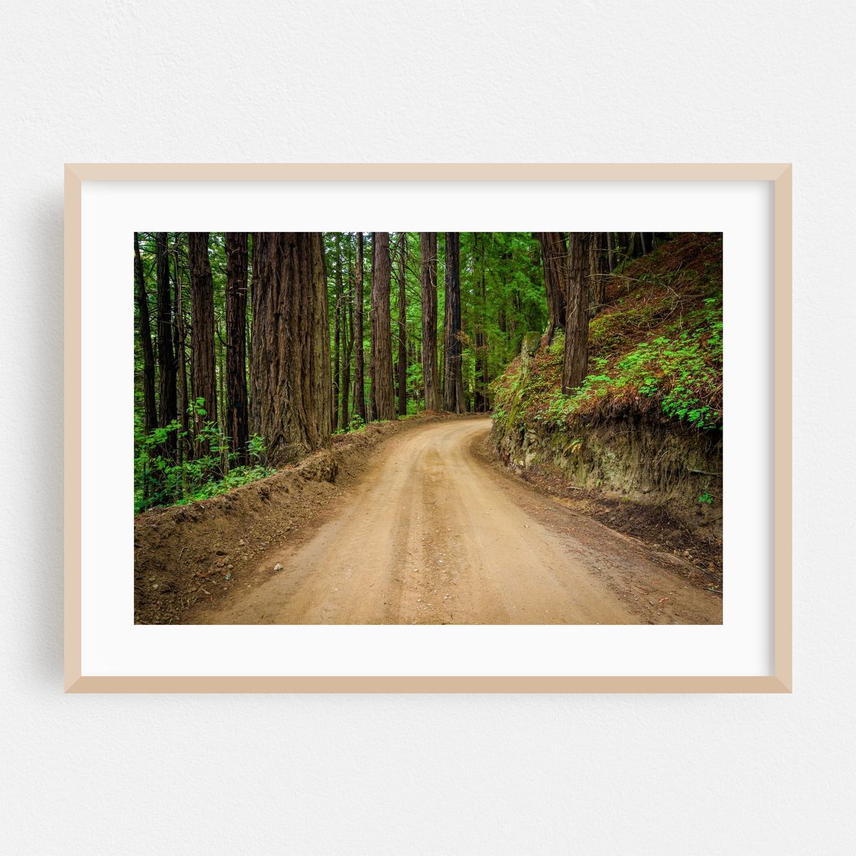 Coast Road, Big Sur – image 1 of 6