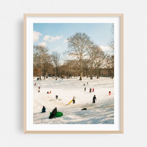 Sledding at Clark Park, Philadelphia 03