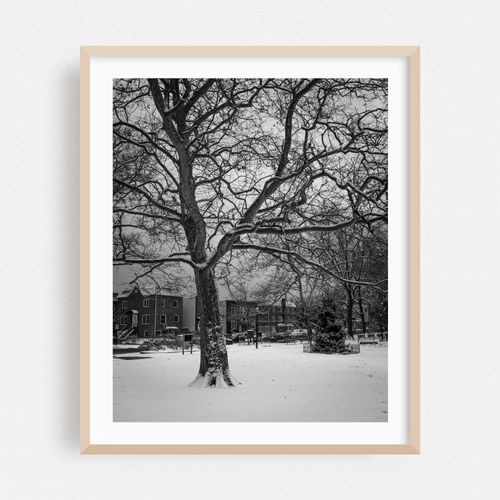 Snowy Astoria Park B&W