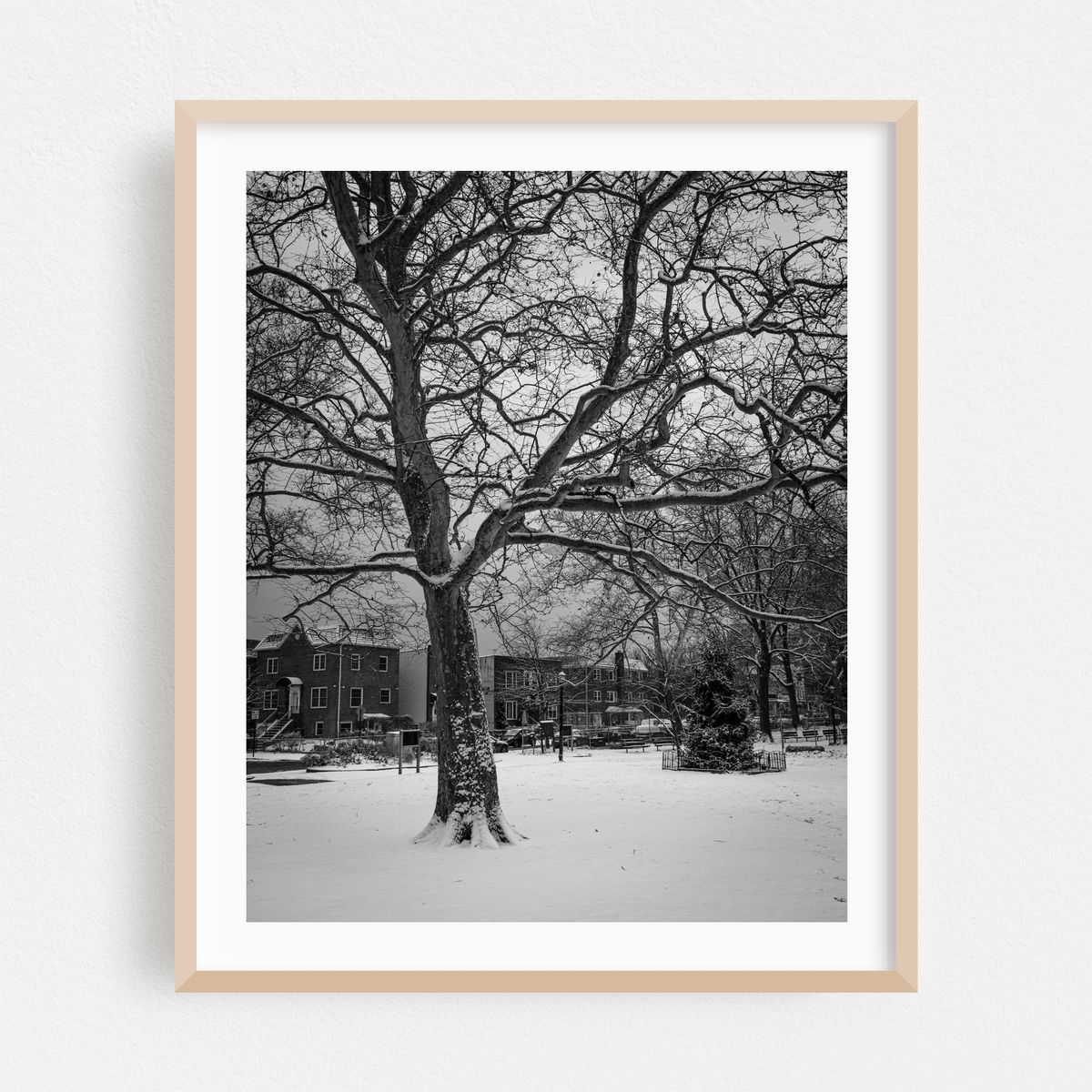 Snowy Astoria Park B&W – image 1 of 12