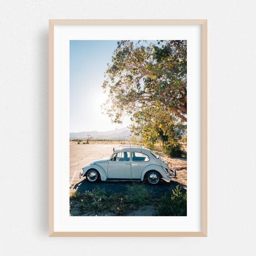 VW Beetle, Salton Sea Beach