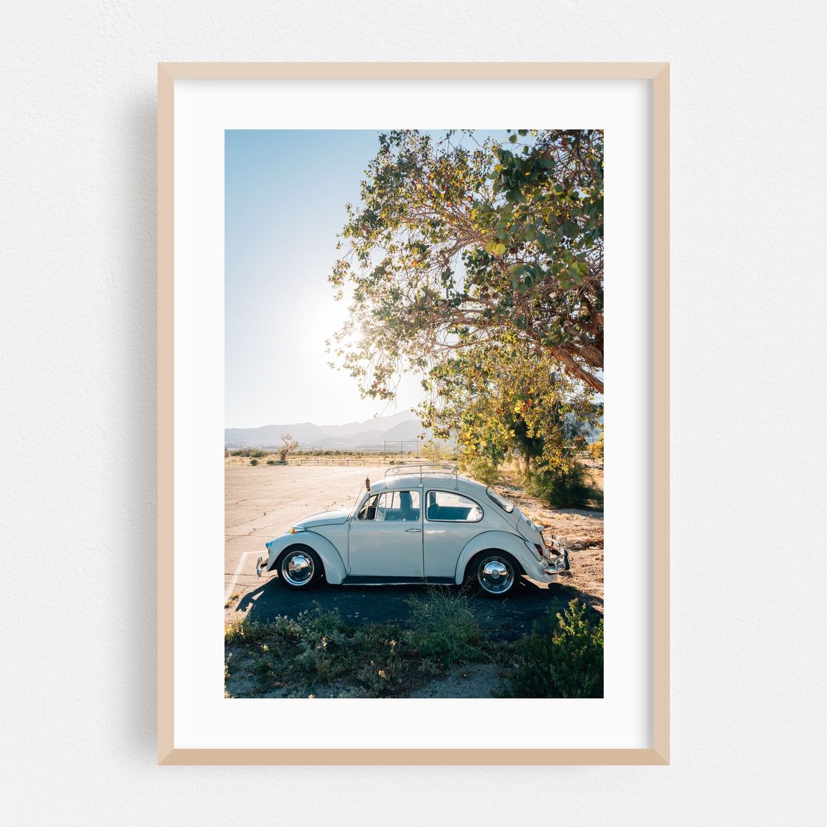 VW Beetle, Salton Sea Beach – image 1 of 16