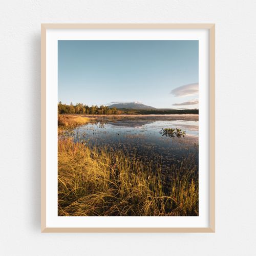 Pond near Baxter 02