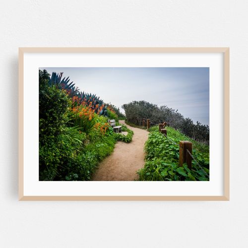 Pathway
