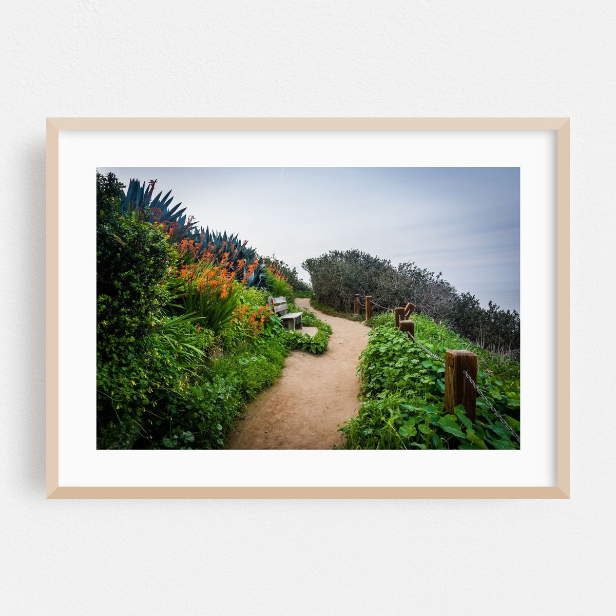 Pathway – image 1 of 6