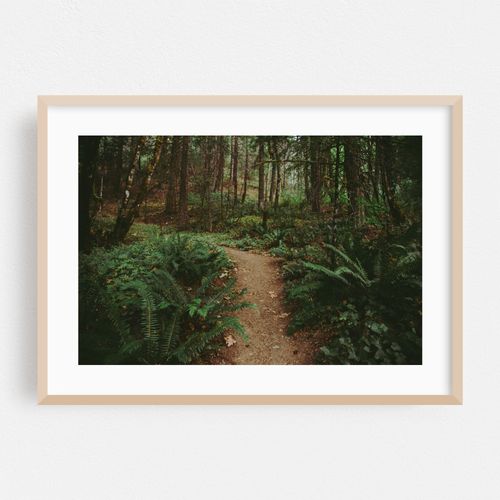 Happy Trails