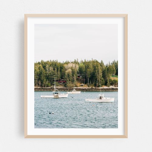 Boats, Tenant's Harbor 01