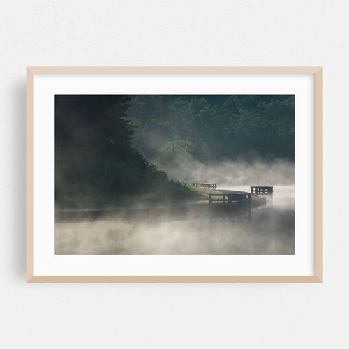 Spruce Knob Fog