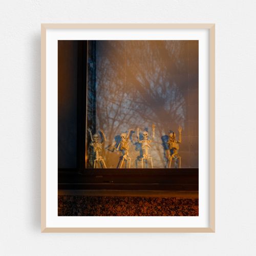 Skeletons in the Window