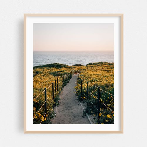 Dana Point Headlands 03