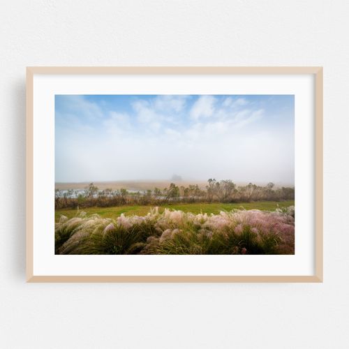 Cooper River Wetland, Charleston 02