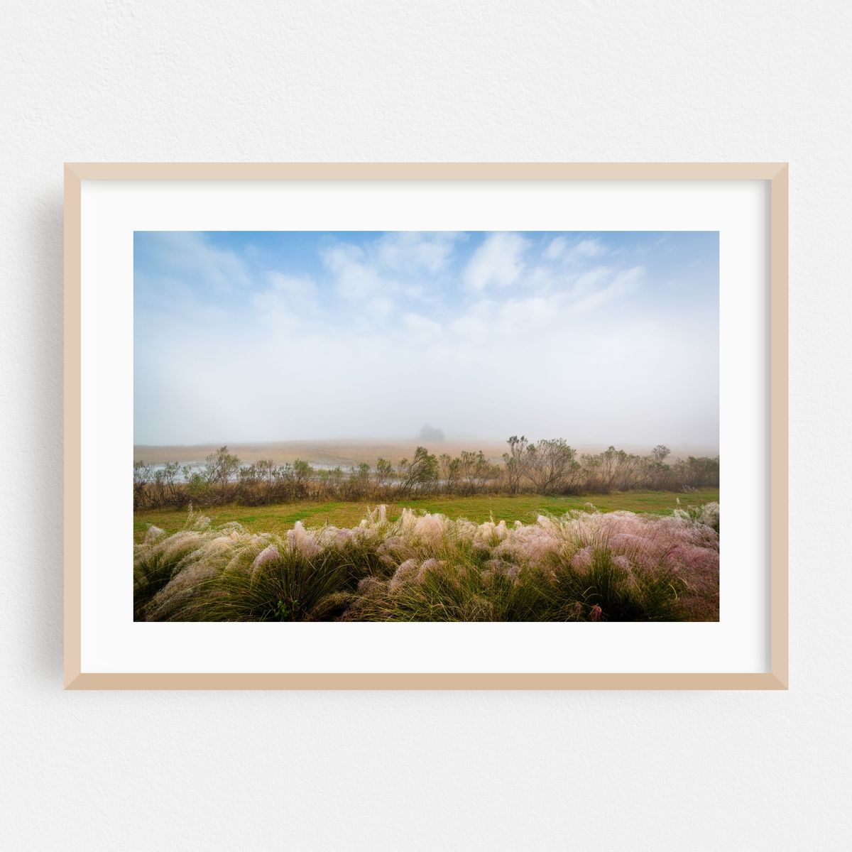 Cooper River Wetland, Charleston 02 – image 1 of 6