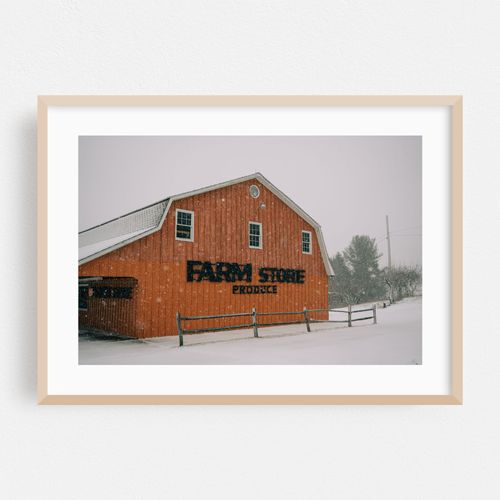 Snow Day, Taconic Orchards 07