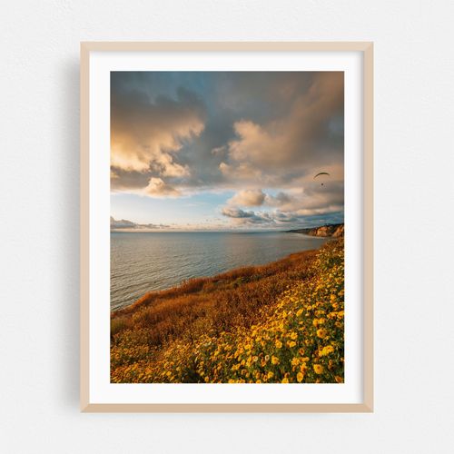La Jolla Coastal 02