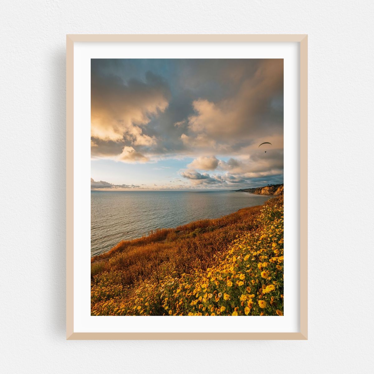 La Jolla Coastal 02 – image 1 of 3