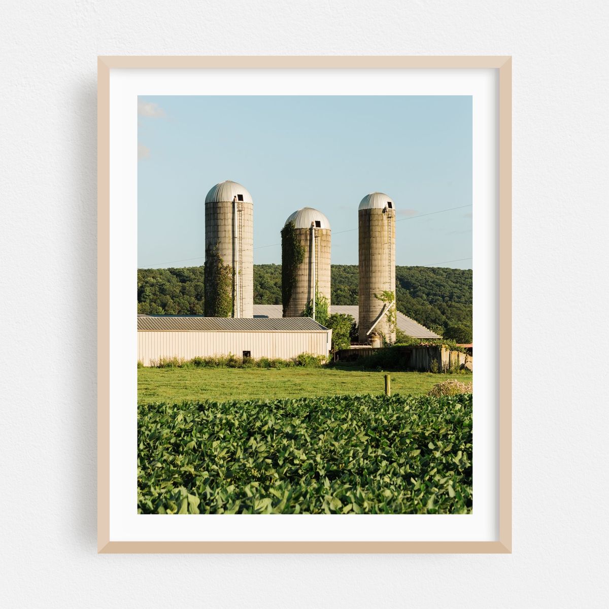 Silos, Perry County 01 – image 1 of 12