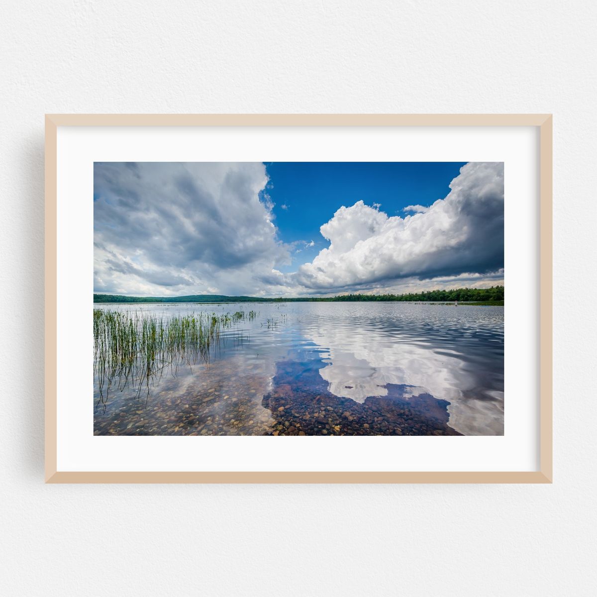 Massabesic Lake Reflections – image 1 of 6