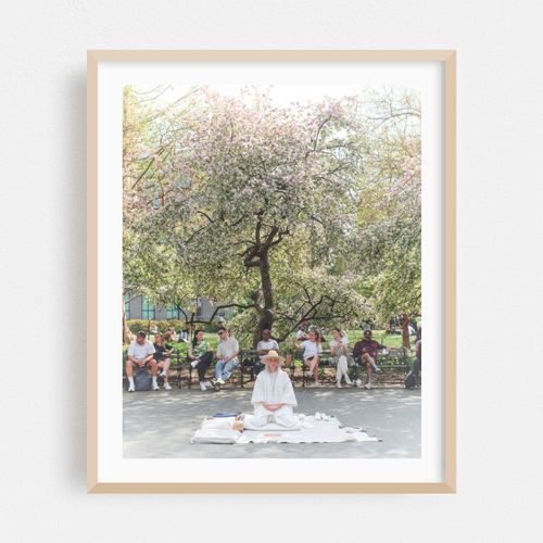 Serenity in the Park