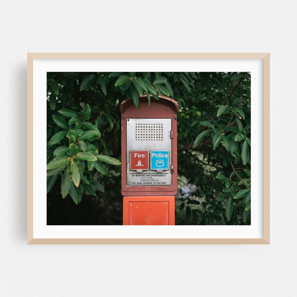 Emergency – image 1 of 3