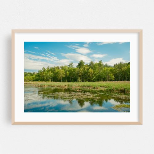 Fitzgerald Lake, Northampton 02