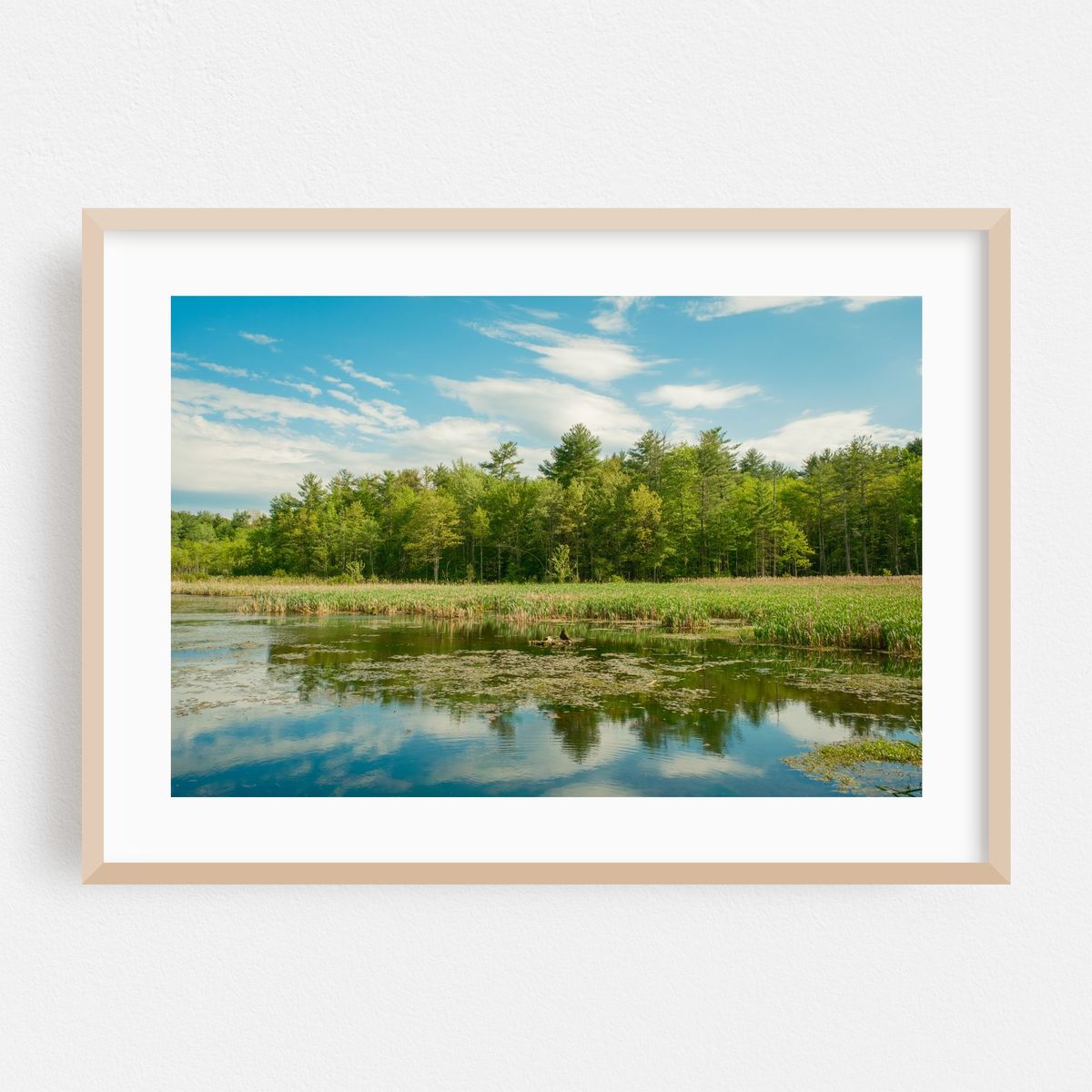 Fitzgerald Lake, Northampton 02 – image 1 of 6