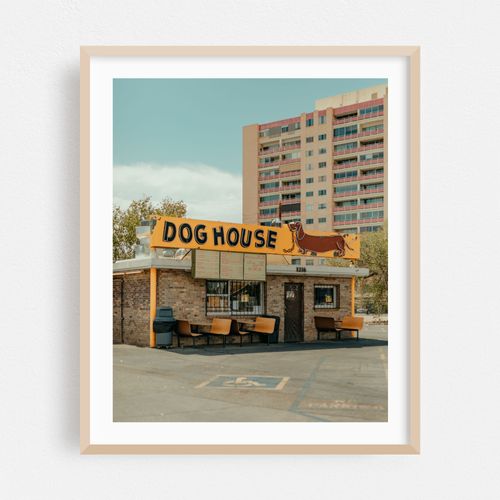 Dog House 02
