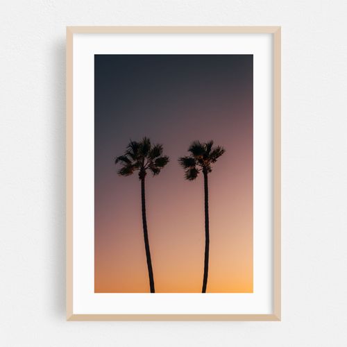 Palms, Manhattan Beach 01