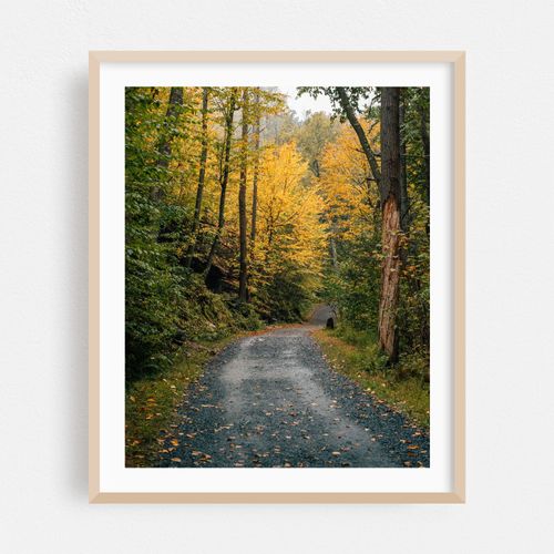 Autumn Color at Minnewaska State Park 02