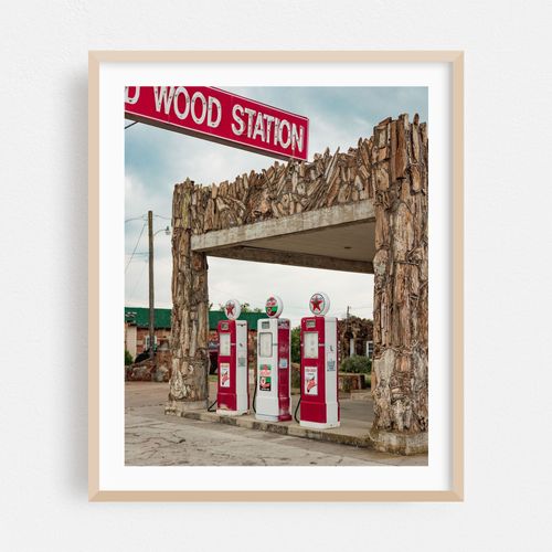 Petrified Wood Station 04