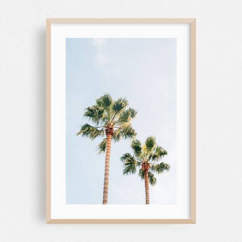Barcelona Palms 03