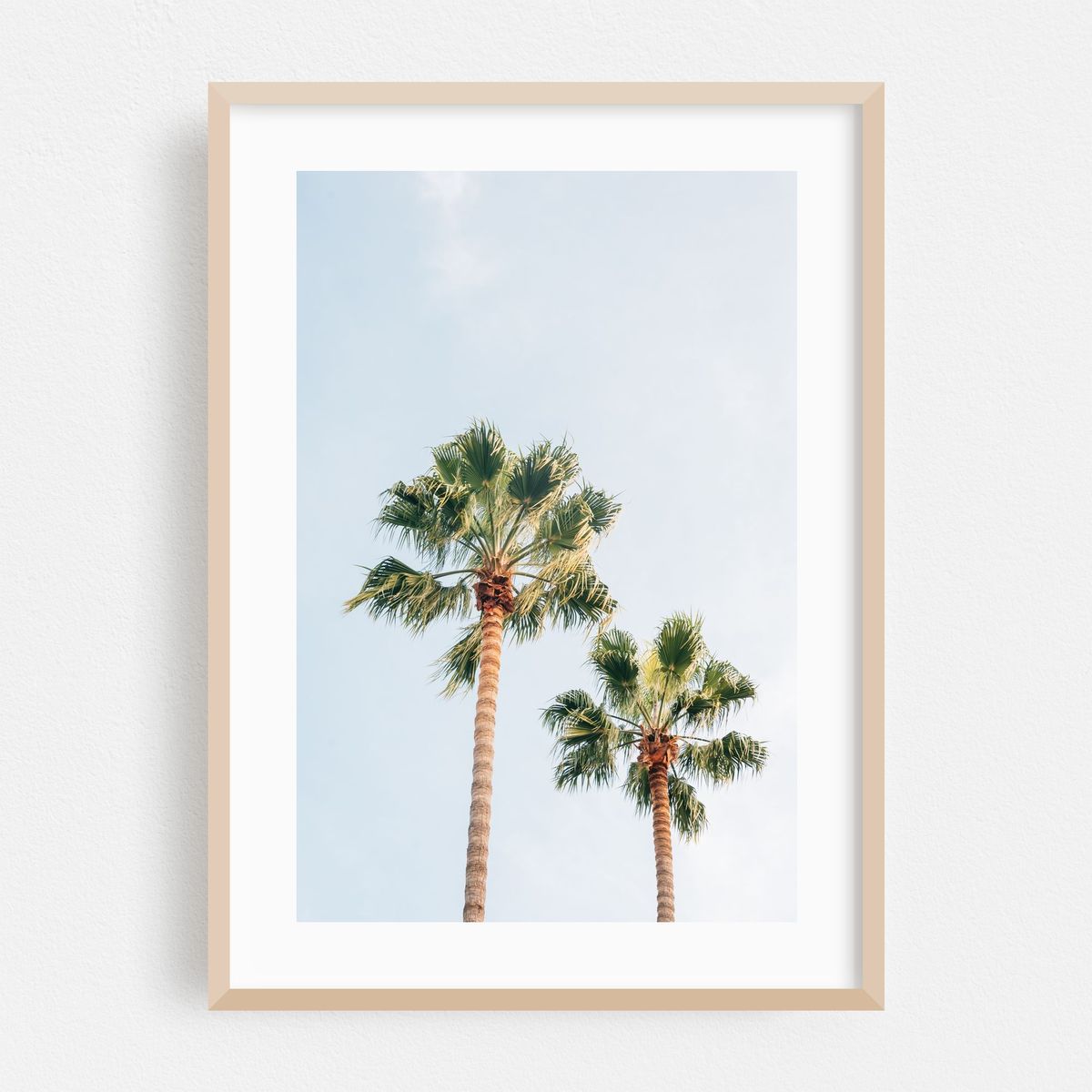Barcelona Palms 03 – image 1 of 16
