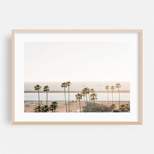 Palms, Corona del Mar 04