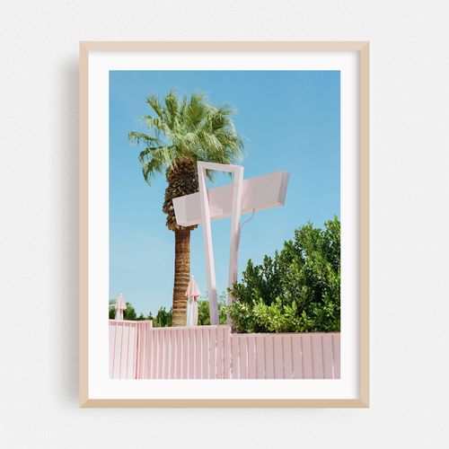 Pink Palm Springs III