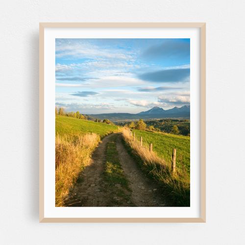 Farm Road, Ząb 03
