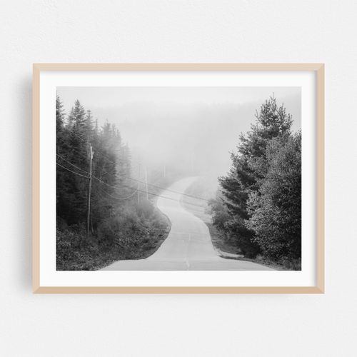 Fog in Cutler 02 B&W