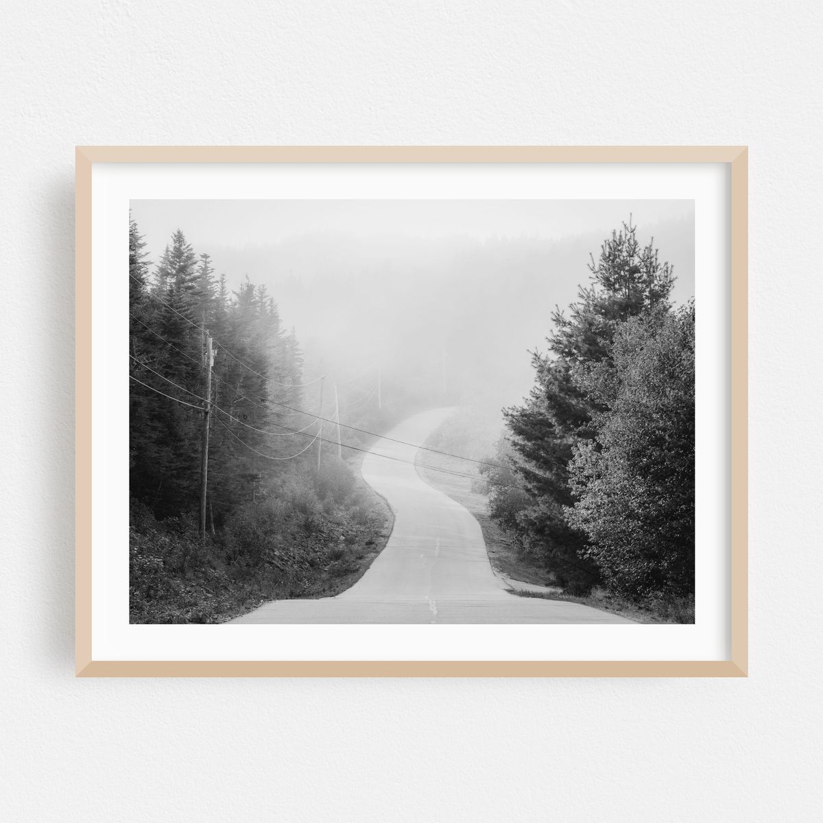 Fog in Cutler 02 B&W – image 1 of 3
